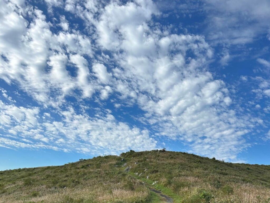 【山口旅日記】秋吉台の絶景と“河童そば”、そして秋芳洞の神秘へ