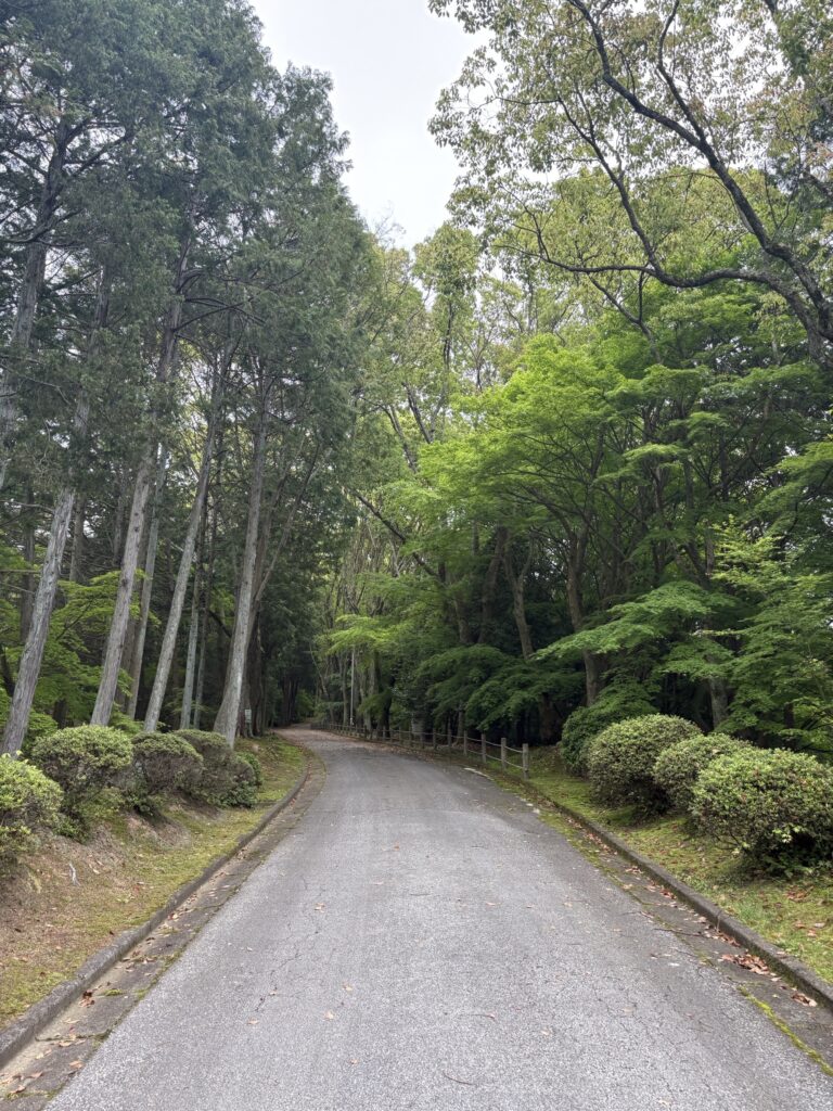 お散歩してきました
