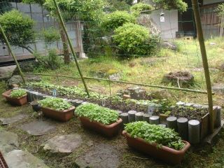 梅雨の合間の夏仕度