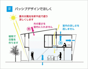 今年は暖夏?!