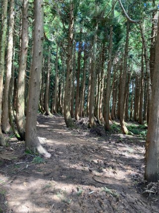 秋の山歩き